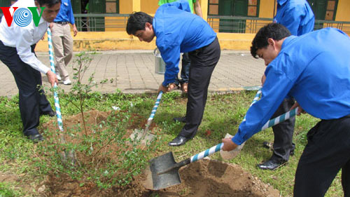 Vietnam promueve festival primaveral de siembra de árboles
